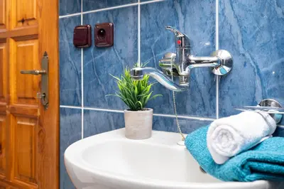 a bathroom sink with a faucet and a plant on it at Statek u Berků in Svatý Jan