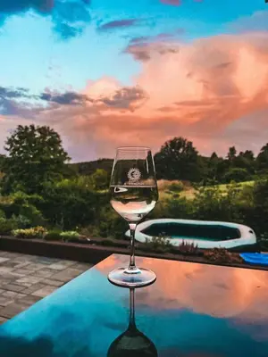 a glass of wine sitting on top of a table at Chata Miracle in Slapy
