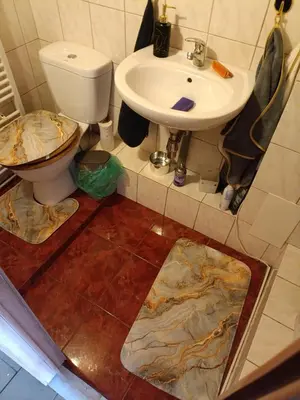 a bathroom with a toilet and a sink at Devils Peak Prague in Prague