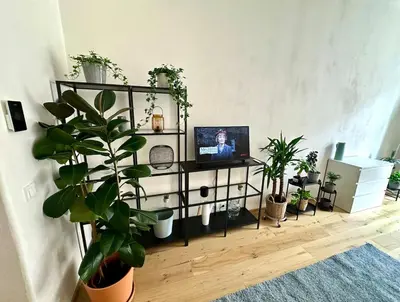 a living room with a tv on a shelf with plants at Super central Prague apartment SUPERHOST 5 stars in Prague
