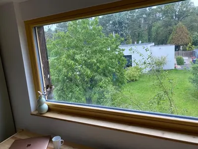 a window with a vase sitting on a window sill at Cottage by the Jizera river in Nový Vestec