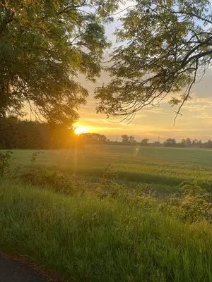 a field of grass with the sun setting in the distance at Cottage by the Jizera river in Nový Vestec