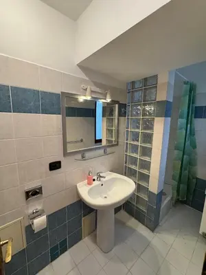 a bathroom with a sink and a shower at Studio - Sleeps 2 -Smoking on balcony - Pets -Wifi in Prague