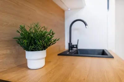 a potted plant sitting on a counter next to a sink at Rentero Charles square studio apartment Parking on request in Prague