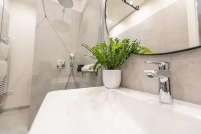 a bathroom with a sink with a potted plant on it at Sunny & Quiet studio in peaceful hood,metro access in Prague