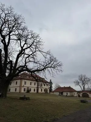 a large building with a tree in front of it at Ekologická farma Skřivaň in Skřivaň