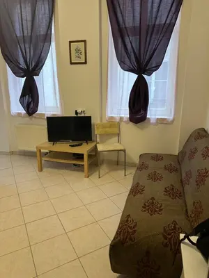 a living room with a couch and two windows at Tyrsova Apartment City Centre in Prague