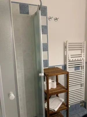 a bathroom with a shower with a mirror and towels at Tyrsova Apartment City Centre in Prague