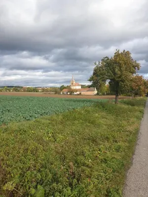 a field of green grass with a church in the background at U dobroty in Nový Dŭm