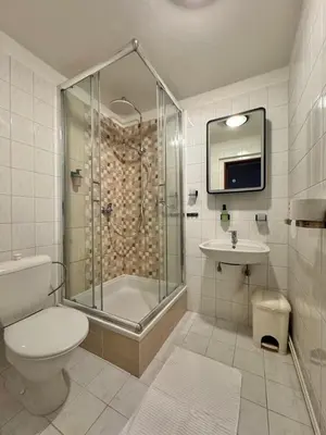 a bathroom with a shower and a toilet and a sink at Resort U Jelena in Křivoklát