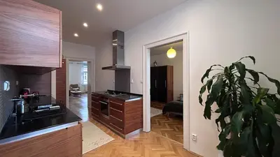 a kitchen with a plant in the middle of a room at Stylish accommodation in the center of Prague in Prague