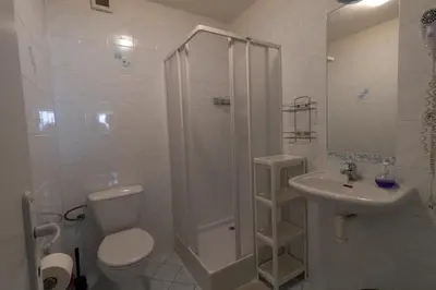 a bathroom with a shower and a toilet and a sink at Apartmány Kamejk in Kamýk nad Vltavou