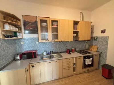 a small kitchen with wooden cabinets and a sink at Vintage Brussels Style on Prague 4 in Prague