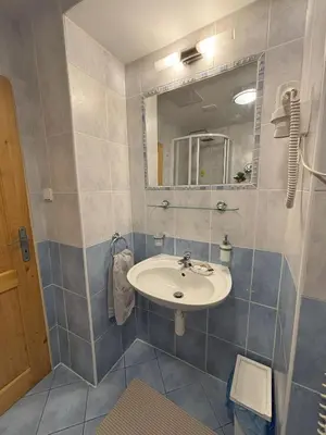 a bathroom with a sink and a mirror at Vintage Brussels Style on Prague 4 in Prague