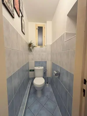 a bathroom with a toilet with blue tiles at Vintage Brussels Style on Prague 4 in Prague