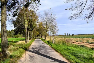 a road in the middle of a field with trees at Chata U Bezedné in Velký Osek
