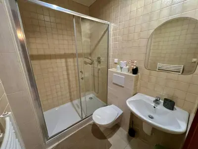 a bathroom with a shower and a toilet and a sink at Comfortable 3 Bedroom apartment in the Heart of Prague in Prague