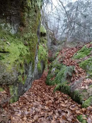 a stone wall with leaves on the ground next to a trail at Nostalgická myš in Kokořín