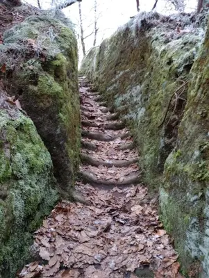 a stone path on a hill with moss at Nostalgická myš in Kokořín