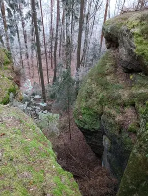 a trail in a wooded area with rocks and moss at Nostalgická myš in Kokořín