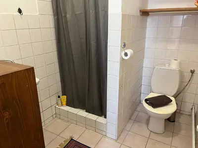 a bathroom with a toilet and a shower at Nostalgická myš in Kokořín
