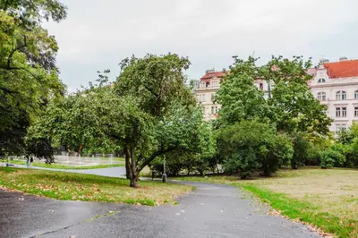 a tree in a park in front of a building at Blueground Vinohrady close to Namesti Miru PRG-2 in Prague