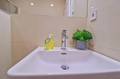 a bathroom sink with a faucet and a plant at Modern apartment in the heart of Prague in Prague