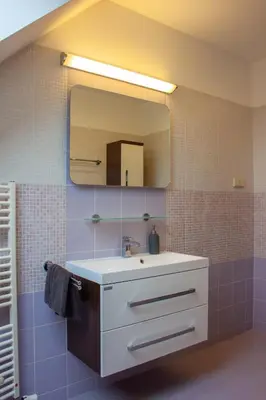 a bathroom with a shower and a walk in shower at Podkrovní apartmán se společným bazénem in Zlonice