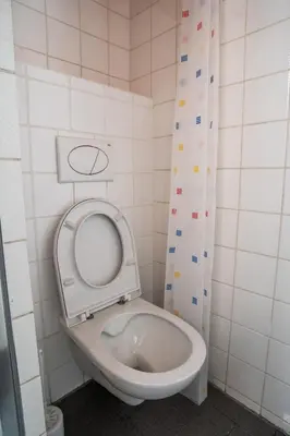 a bathroom with a toilet with the seat up at Grand apartment near Dancing House in Prague