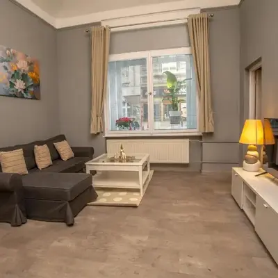 Grand apartment near Dancing House