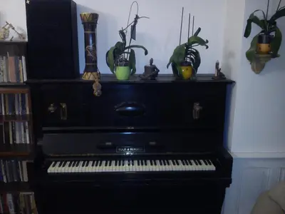 a black piano with potted plants on top of it at Rain Man's Apartment in Prague