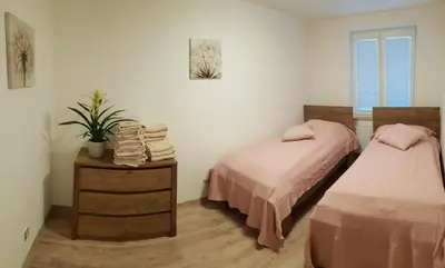 a bedroom with two beds and a table with a plant at Apartmán U Labe in Nymburk