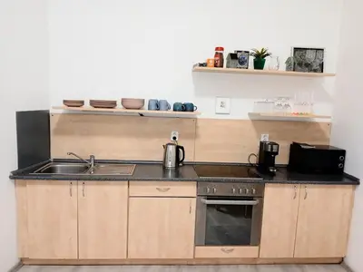 a kitchen with a sink and a stove at Apartment Havlickova in Prague