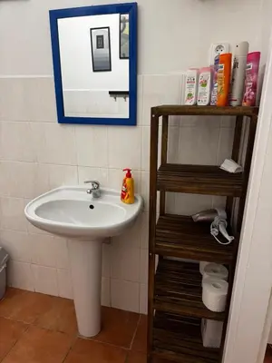 a bathroom with a shower and a toilet and a sink at Apartment Havlickova in Prague