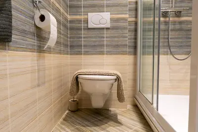 a bathroom with a toilet and a shower at Cozy retreat in the Old Town in Prague