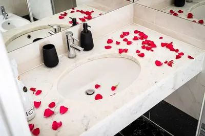 a bathroom sink with red flowers on the counter at Golden Dog Suite in Prague