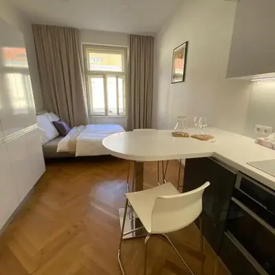 Modern Apartments Letna