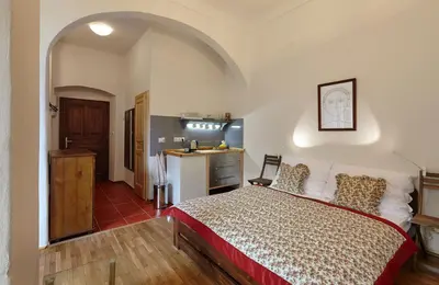 a bedroom with a large bed and a kitchen at Queen Bee apartments in Prague