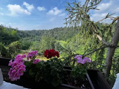 a bunch of flowers in a window box with a view at Chalupa Na Vyhlídce in Sudoměř