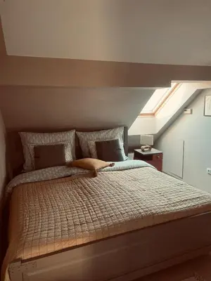 a bedroom with a large bed with a skylight at Penzion Patina House Barevný Svět in Mníšek pod Brdy