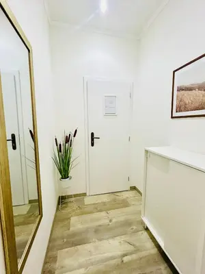 a room with a mirror and a white door at LUXURY RESIDENCE APARTMENTS in VÁCLAVSKÉ NÁMĚSTÍ in Prague