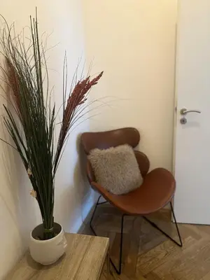 a chair and a potted plant in a room at Chic Retreat on Skorepka Street in Prague