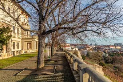 a tree on a sidewalk next to a building at Sunny luxury apartments Grebovka in Prague