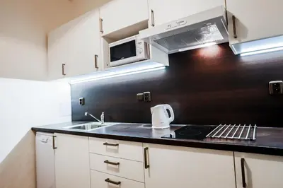 a kitchen with a sink and a microwave at Accommodation Smečky 14 in Prague
