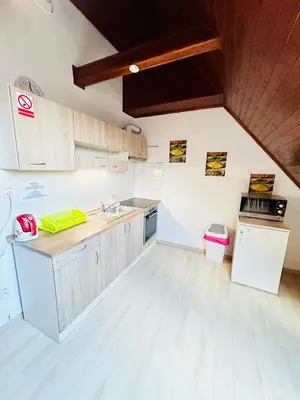 a kitchen with a sink and a counter top at Villa Apartments with Free Parking Prague 5 in Prague