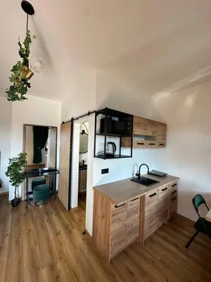 a kitchen with a sink and a counter in a room at TAVI Apart-Hotel in Nupaky
