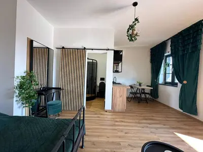 a living room with a bed and a kitchen at TAVI Apart-Hotel in Nupaky