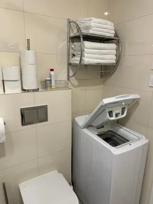 a bathroom with a washing machine and a toilet at Prague 1 Center Modern 2BR Apartment with Panoramic Museum View and King Bed in Prague