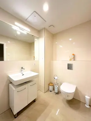 a bathroom with a sink and a toilet at Small City Apartment in Prague