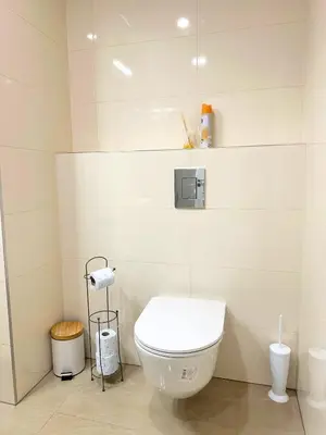 a bathroom with a white toilet in a room at Small City Apartment in Prague